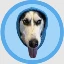 WIF图标